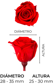 Property 1=AVA-PLUS_MOBILE_ES