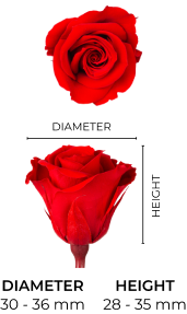 Property 1=INES-MINI_MOBILE_EN