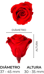 Property 1=INES_MOBILE_ES