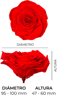 Property 1=MAGNA_MOBILE_ES