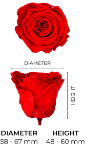 Property 1=MONALISA_MOBILE_EN