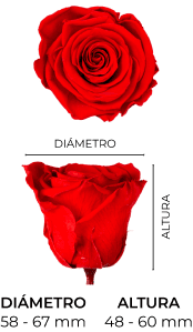 Property 1=MONALISA_MOBILE_ES