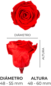 Property 1=SEÑORITA_MOBILE_ES