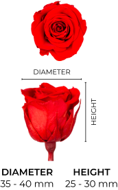 Property 1=SISTER_MOBILE_EN