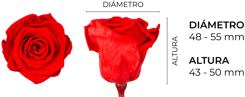 Property 1=TIFFANY_ES