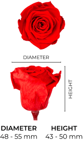 Property 1=TIFFANY_MOBILE_EN