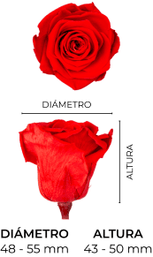 Property 1=TIFFANY_MOBILE_ES